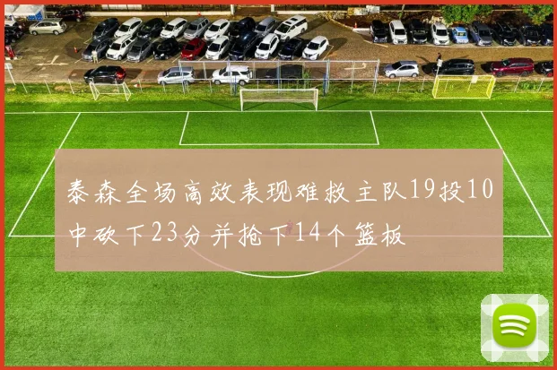 泰森全场高效表现难救主队19投10中砍下23分并抢下14个篮板