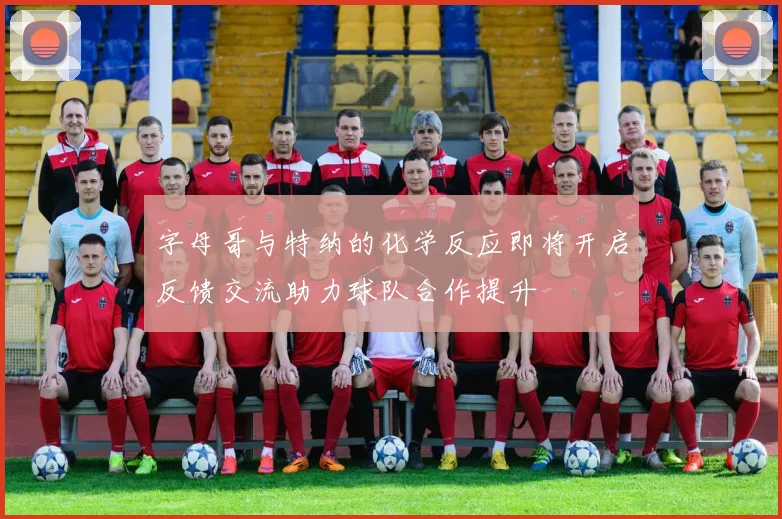 字母哥与特纳的化学反应即将开启反馈交流助力球队合作提升