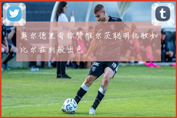 奥尔德里奇称赞维尔茨聪明机敏如比尔兹利般出色