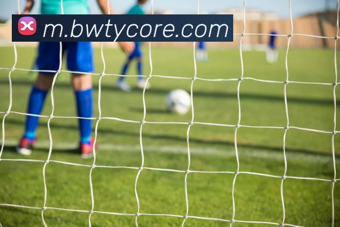 宝威体育平台生态图