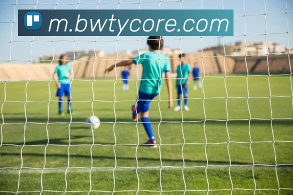 宝威体育APP 封面图